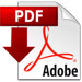 sm pdf icon copy