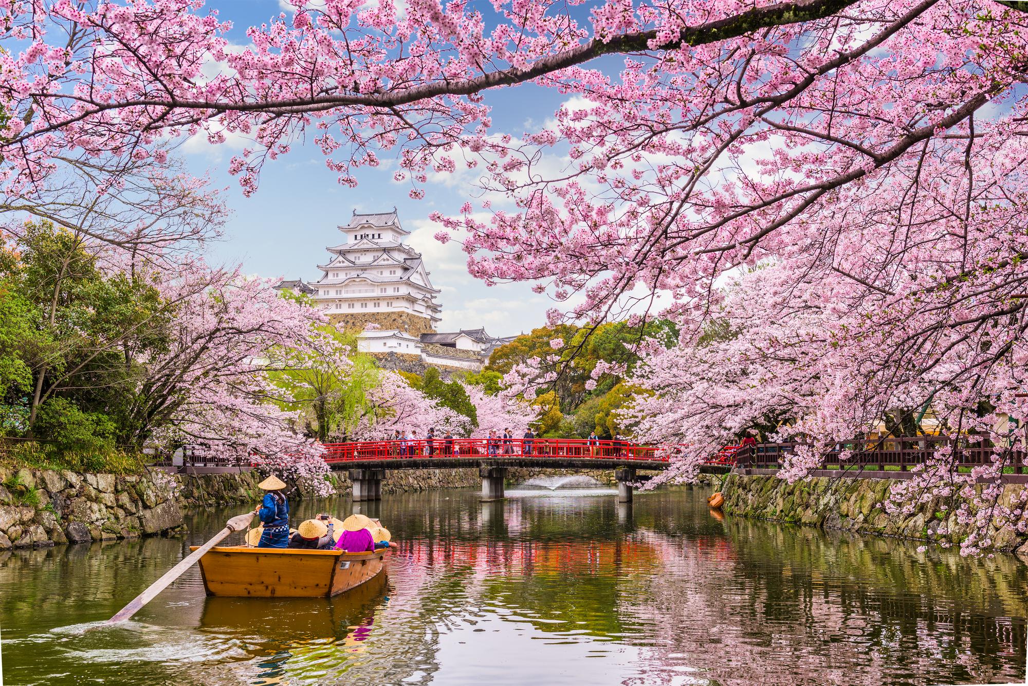 Japón Salidas grupales - Travel PLanners Puerto Rico